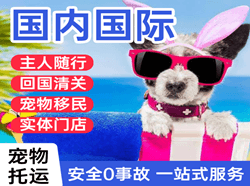 锦州机场托运国际宠物托运 【国